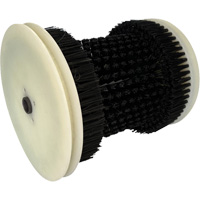 Brosse de recharge Distribution Jean Lapalme