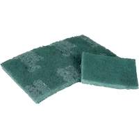 Tampon de r&eacute;curage, 3" lo x 4-1/2" la Distribution Jean Lapalme