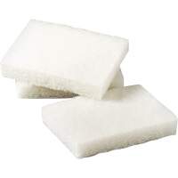 Tampon &agrave; r&eacute;curer pour petits travaux Scotch-Brite, 5" lo x 3-1/2" la Distribution Jean Lapalme