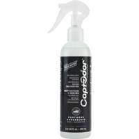 Footwear Odour Destroyer Distribution Jean Lapalme
