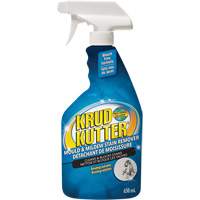 Mold and Mildew Spray, 650 ml, Trigger Bottle Distribution Jean Lapalme