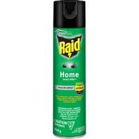 Insecticide pour insectes domestiques Raid, 350 g, &agrave; base de solvant Distribution Jean Lapalme