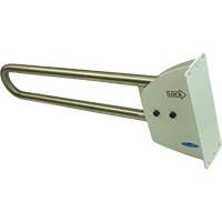 Swing-Up Safety Rail Distribution Jean Lapalme