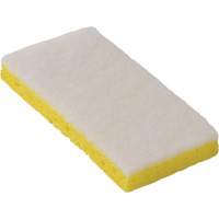 &eacute;ponge &agrave; r&eacute;curer pour travaux l&eacute;gers 745W, 6-1/4" lo x 3-1/5" la Distribution Jean Lapalme