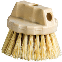 Round Cleaning Brush, 5" L, Tampico Bristles, Beige Distribution Jean Lapalme