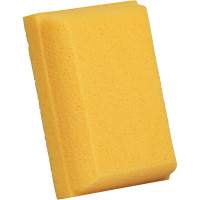 &eacute;ponge &agrave; coulis, Coulis, 5" la x 7" l Distribution Jean Lapalme