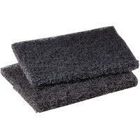 Tampon de polissage pour plaque de cuisson Scotch-Brite, 4" lo x 5" la Distribution Jean Lapalme