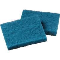Non-Stick Cookware Cleaning Pad, Scrubbing, 5-1/4" W x 4" L Distribution Jean Lapalme