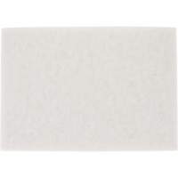 Tampon pour planchers TopLine Speed, 14" x 20", Lustrage/Nettoyage/Polissage, Blanc Distribution Jean Lapalme