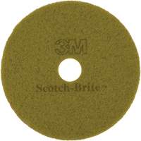 Tampon pour planchers TopLine Speed, 17", Brunissage, Brun Distribution Jean Lapalme