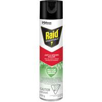 Insecticide pour araign&eacute;es et fourmis Essentials Raid, 350 g, Canette a&eacute;rosol Distribution Jean Lapalme