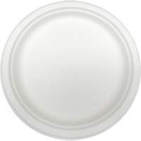 Molded Fiber Disposable Plates Distribution Jean Lapalme