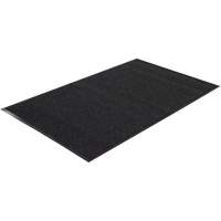 Twin Rib Matting, Wiper/Scraper, 2' x 3' x 1/4", Charcoal Distribution Jean Lapalme
