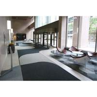 Supreme Knob Entrance Matting, Wiper/Scraper, 6-1/2' x 75-1/2' x 7/16", Charcoal Distribution Jean Lapalme