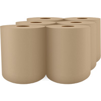 Pro Select&reg; High-Capacity Paper Towel, 1 Ply, Standard, 1000' L Distribution Jean Lapalme