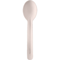 Bagasse Compostable Spoons Distribution Jean Lapalme