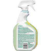 CloroxPro Clorox EcoClean Disinfecting Cleaner, 946 ml, Trigger Bottle Distribution Jean Lapalme
