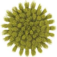 Brosse ronde HyDrive pour perceuse, Soies Tr&egrave;s ferme, Longueur de 3-1/10", Jaune Distribution Jean Lapalme