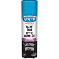 Pro Line Instant Shine for Plastic Surfaces, 11 oz., Aerosol Can Distribution Jean Lapalme