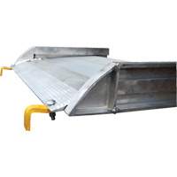 Rampe de promenade en aluminium, Capacit&eacute; de 1000 lb, 38" la x 193-1/8" lo Distribution Jean Lapalme