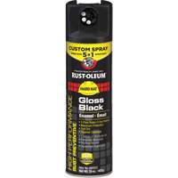 5-in-1 Rust Preventive Spray Enamel, Black, Gloss, 15 oz., Aerosol Can Distribution Jean Lapalme