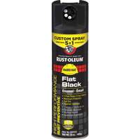 5-in-1 Rust Preventive Spray Enamel, Black, Flat Finish, 15 oz., Aerosol Can Distribution Jean Lapalme