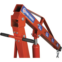 2-Ton Folding Shop Crane, 4000 lbs. (2 tons) Capacity Distribution Jean Lapalme
