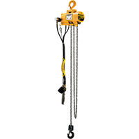 Budgit&reg; Air Chain Hoists Distribution Jean Lapalme