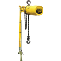 Budgit&reg; Series 6000 Air Hoists Distribution Jean Lapalme