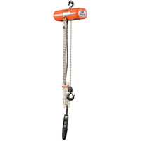 Palans &eacute;lectriques ShopStar, Lev&eacute;e 10', Capacit&eacute; 250 lb (0,125 tonne), 16 pi/min Distribution Jean Lapalme