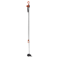 Mini palan &agrave; levier, Lev&eacute;e 15', Cabacit&eacute; 500 lb (0,25 tonne), Chaîne en Acier Distribution Jean Lapalme