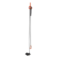 Mini palan &agrave; levier, Lev&eacute;e 15', Cabacit&eacute; 1000 lb (0,5 tonne), Chaîne en Acier Distribution Jean Lapalme