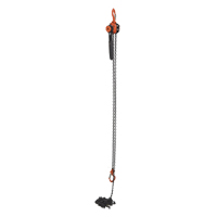 Mini palan &agrave; levier, Lev&eacute;e 15', Cabacit&eacute; 1000 lb (0,5 tonne), Chaîne en Acier Distribution Jean Lapalme