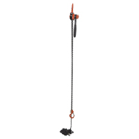 Mini palan &agrave; levier, Lev&eacute;e 20', Cabacit&eacute; 1000 lb (0,5 tonne), Chaîne en Acier Distribution Jean Lapalme