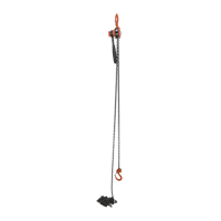 Mini palan &agrave; levier, Lev&eacute;e 20', Cabacit&eacute; 1000 lb (0,5 tonne), Chaîne en Acier Distribution Jean Lapalme
