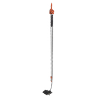 Mini palan &agrave; levier, Lev&eacute;e 20', Cabacit&eacute; 1000 lb (0,5 tonne), Chaîne en Acier Distribution Jean Lapalme