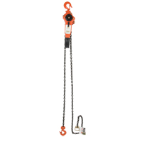 Lever Chain Hoist, 5' Lift, 3000 lbs. (1.5 tons) Capacity, Alloy Steel Chain Distribution Jean Lapalme