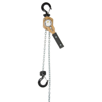 Heavy Duty Gold Series Lever Chain Hoist, 10' Lift, 500 lbs. (0.25 tons) Capacity, Alloy Steel Chain Distribution Jean Lapalme