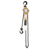 Heavy Duty Gold Series Lever Chain Hoist, 5' Lift, 1500 lbs. (0.75 tons) Capacity, Alloy Steel Chain Distribution Jean Lapalme