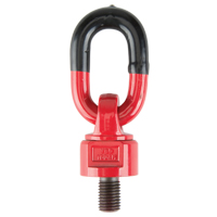 Lifting Hoist Rings