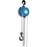 Tralift&reg; Manual Chain Hoist, 10' Lift, 4000 lbs. (2 tons) Capacity, Grade 80 Chain Distribution Jean Lapalme