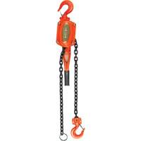 Lever Hoist, 5' Lift, 1500 lbs. (0.75 tons) Capacity, Alloy Steel Chain Distribution Jean Lapalme