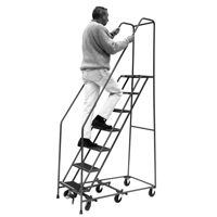 All Directional Ladders, 6 Steps, 16" Step Width, 60" Platform Height, Steel Distribution Jean Lapalme
