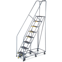 All Directional Ladders, 8 Steps, 16" Step Width, 80" Platform Height, Steel Distribution Jean Lapalme