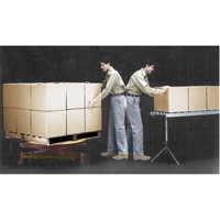 Plateformes de levage manuelles Pallet Pal, 43-5/8" lo x 43-5/8" la, Capacit&eacute; 4500 lb Distribution Jean Lapalme