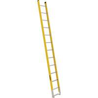 Single Section Straight Ladder - 6100 Series, 12', Fibreglass, 375 lbs., CSA Grade 1AA Distribution Jean Lapalme