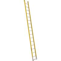 Single Section Straight Ladder - 6100 Series, 16', Fibreglass, 375 lbs., CSA Grade 1AA Distribution Jean Lapalme