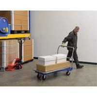 Platform Cart, 48" L x 24" W, 1500 lbs. Capacity, Mold-on Rubber Casters Distribution Jean Lapalme