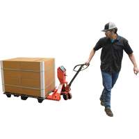 Pallet Truck, 48" L x 27.5" W, 5000 lbs. Cap. Distribution Jean Lapalme