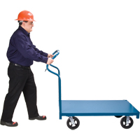 Ergonomic Platform Trucks Distribution Jean Lapalme